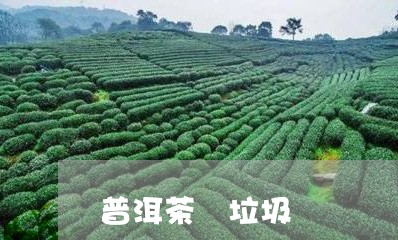 普洱茶 垃圾/2023042836813